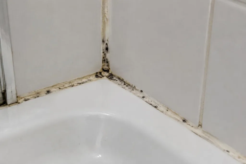 Kitbedrijf Maarn – beschimmelde kitranden